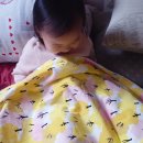 엘림카시트 이미지