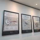 와이덱스 보청기 강남점 이미지