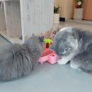 카페아리 - 창원시 마산회원구 유통단지로 33 | 카페아리