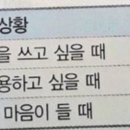 엘피여행 이미지
