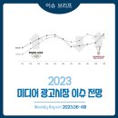 2023년 6-4호 [이슈 브리프] 2023 미디어 광고시장 이슈 전망