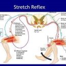 팀터틀랫 기장일광점 이미지