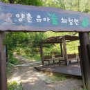 양촌 유아숲체험원 이미지