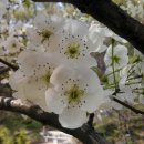 경희축산 이미지