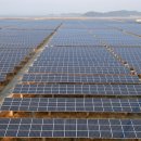 대사일 태양광발전소 이미지