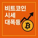 비트코인 시세 대폭등!