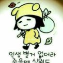 우리네