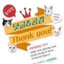 큐헤어(Q HAIR) 이미지
