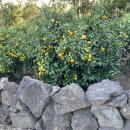 스테이월든 이미지