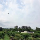 365플러스의원 이미지