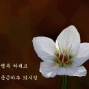 행복꽃 이미지