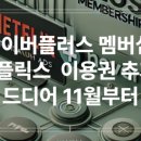 에스텔리트 이미지