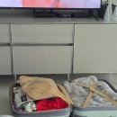 (주)피.심 | 난소 기형종 제거 수술 TMI 후기 겸 주간일기(안산고대병원/260112-18)