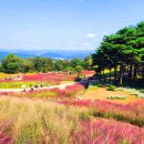 가산수피아 이미지