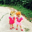일월산장모텔 | [충청남도 공주/마곡사/민박/산장/가든/모텔/공주여행숙박] 나만알고싶은곳!♥일월산장가든