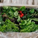 주은농장 이미지