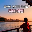 고란초 | 국내 뚜벅이 여행 코스 🚆 부여 당일치기 가볼만한곳 궁남지, 미디어아트 등