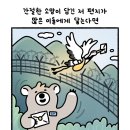 소망5 이미지