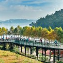 일원본-111 이미지