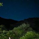 느티골길 이미지