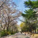 석수로 76 이미지