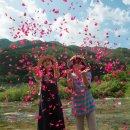 풍차마을 민박 이미지