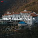 에스티엑스리조트 주식회사 이미지
