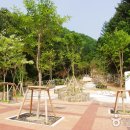 산림욕장 이미지