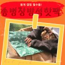 캠핑 필수품 송병장 대형 엉덩이 방석 핫팩 파는곳 주식회사 더컴퍼니 후기
