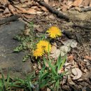 김을생 효자각 이미지