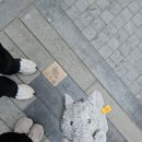 화원관광지 | 대만 타이난 우육탕, 화원야시장, GOIN 위스키바 Day2 후기