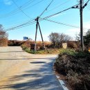 배다리생태공원 이미지