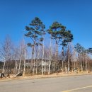 어울림관광협동조합