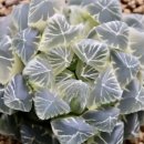 대옥농장 이미지