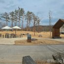 영흥숲공원 숲놀이터 이미지