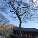 남도전통미술관 이미지