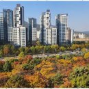 금터공인중개사사무소 이미지