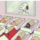 김오복 | 출산기록