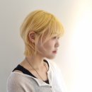 홍대미용실/상수미용실 카이정헤어 홍대상수점 명호디자이너-탈색&amp;금발