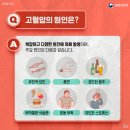 습관들 이미지