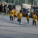 솔레아스파크
