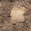 은평-032 이미지