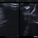 파주365동물의료센터 이미지