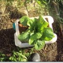 경성가든 이미지