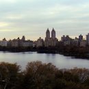 뉴욕매니아 이미지