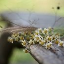 우아한세상 이미지