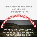 깐부인력 이미지