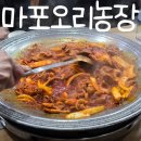 오리농장 | 합정역밥집 마포오리농장 후기