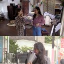 설렘 민박 서울신문