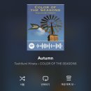 올리브앤북스영어교습소 | [240923] Solace is everything